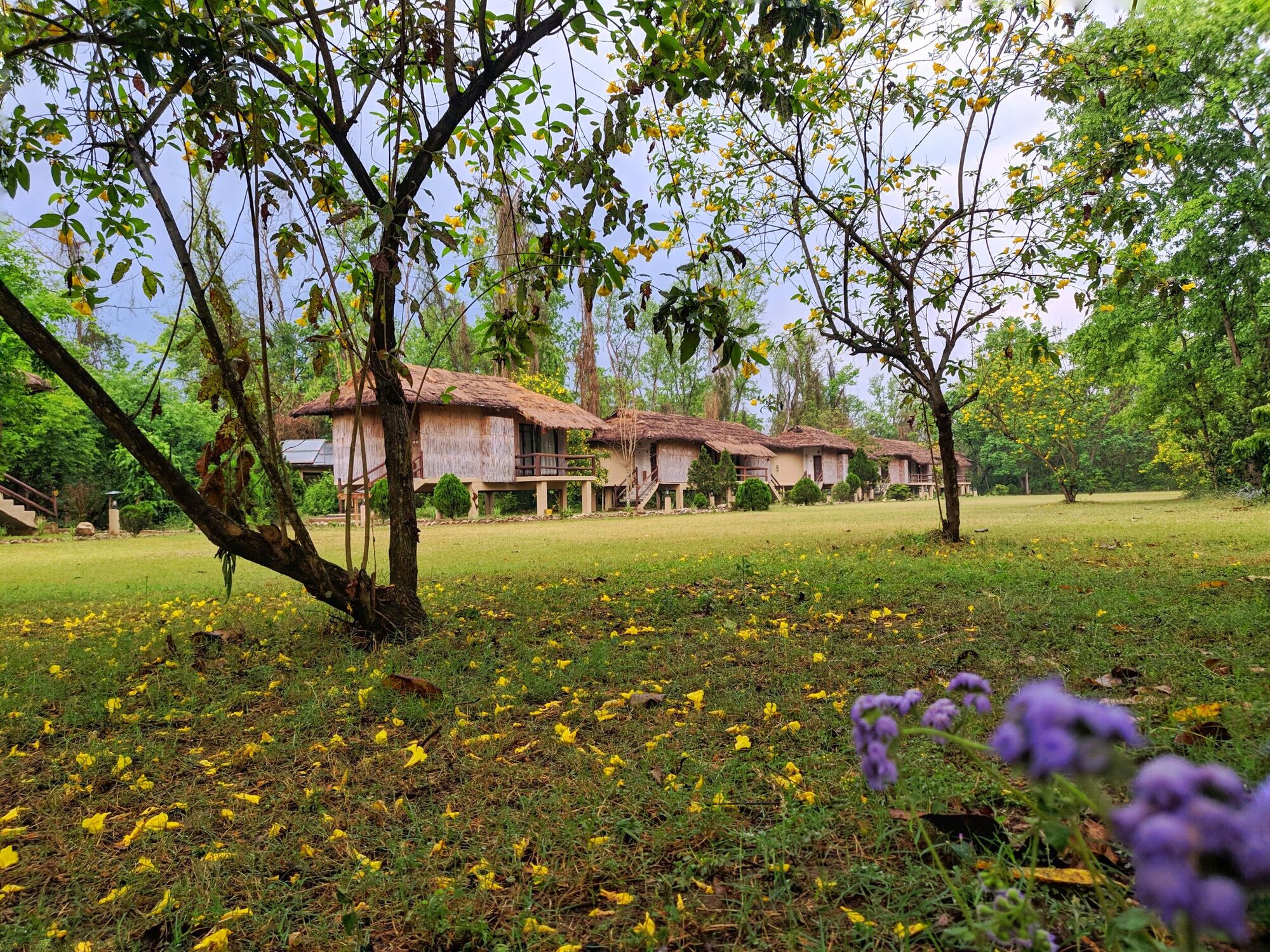 Villas set in our own gardens